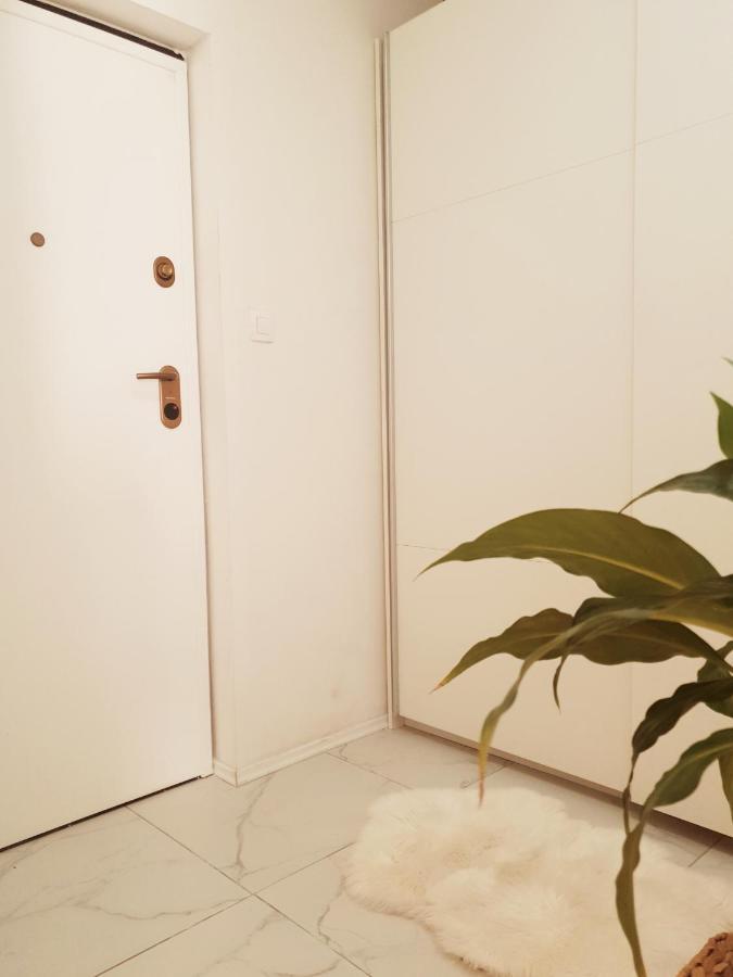 Apartment Koko *